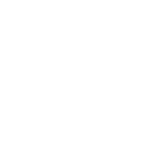 wordpress-150x150-1-1.png